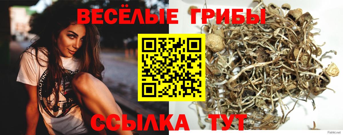 Галлюциногенные грибы прущие грибы  Псилоцибиновые грибы ЛСД  Ишим  купить  цена  Вход с VPN 